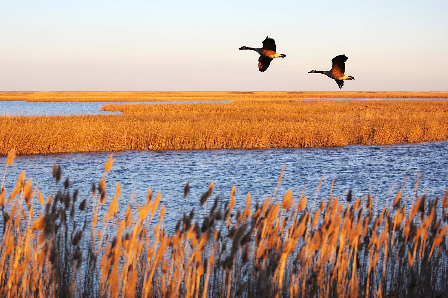Delaware